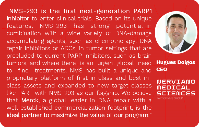 Nerviano Medical Sciences S.r.l. Announces Collaboration and Option to License Agreement with Merck