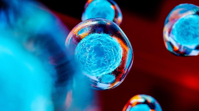 New European Patent Office study: NMS srl top applicant in Italy during the 2002-2021 period